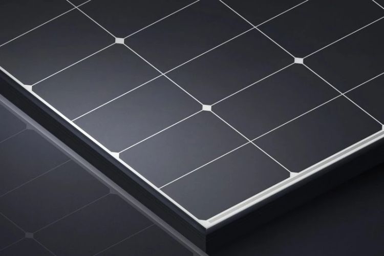 LONGi Solar 